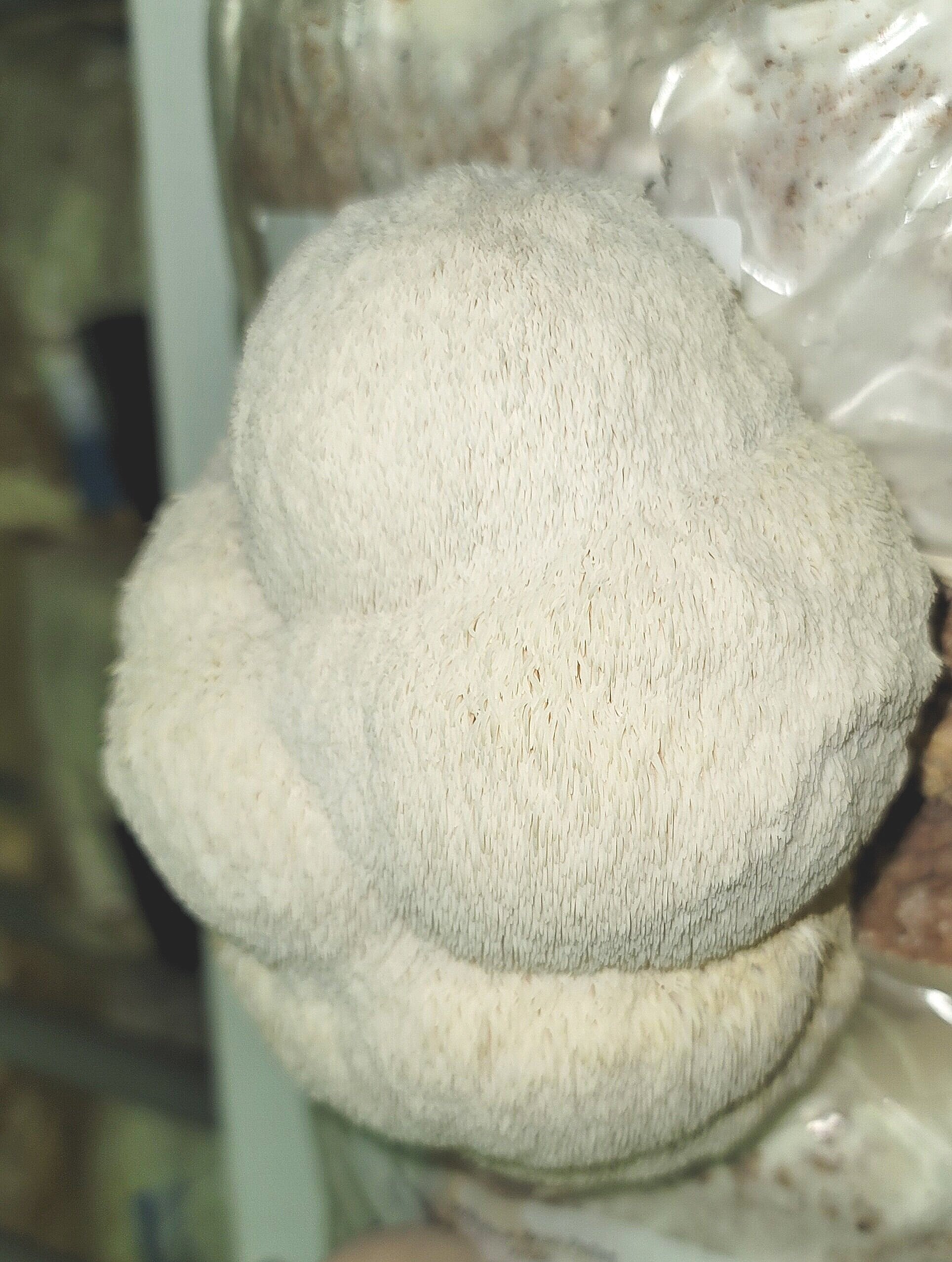 20201102_140749.jpg