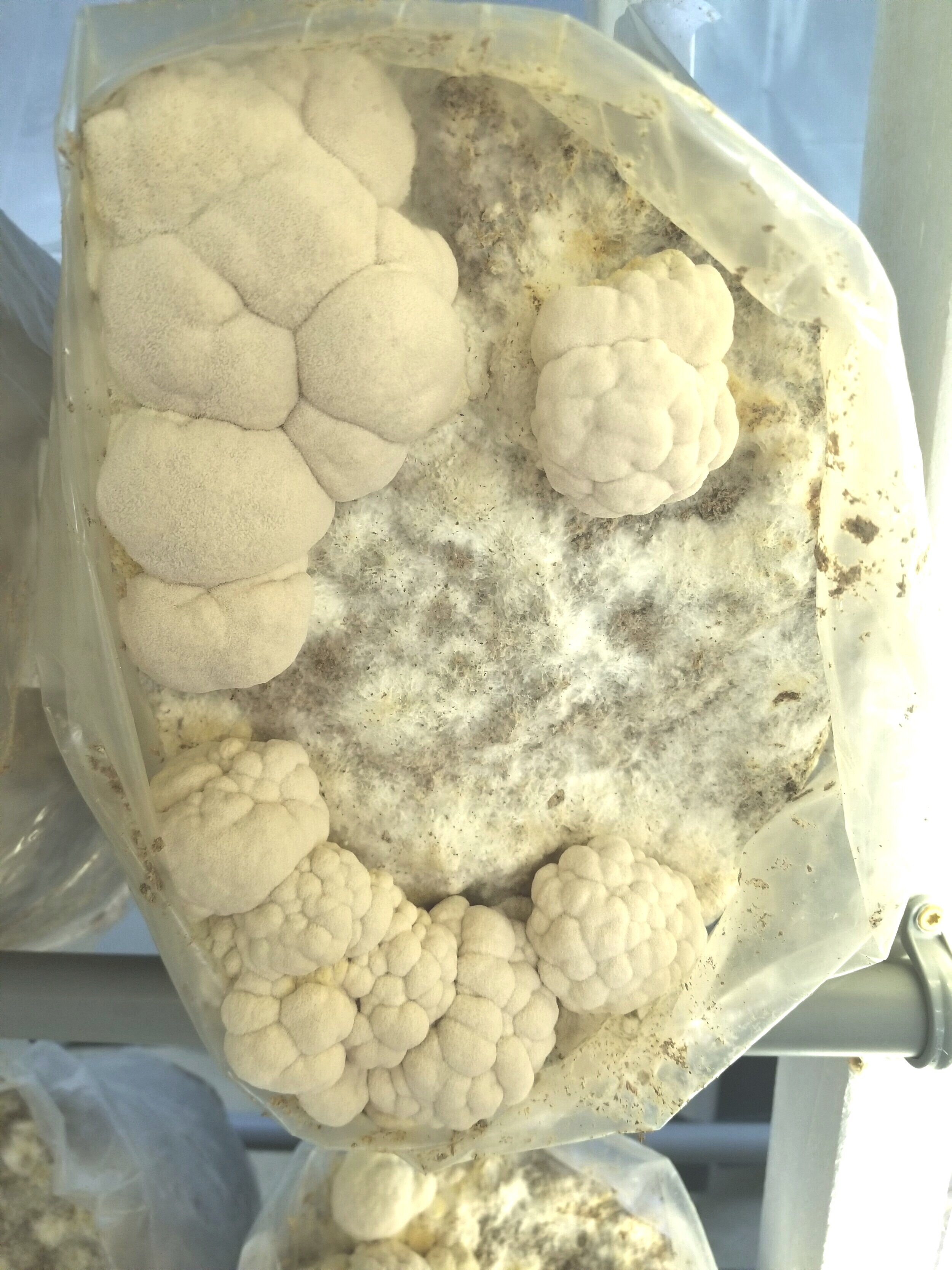 20200906_172839.jpg