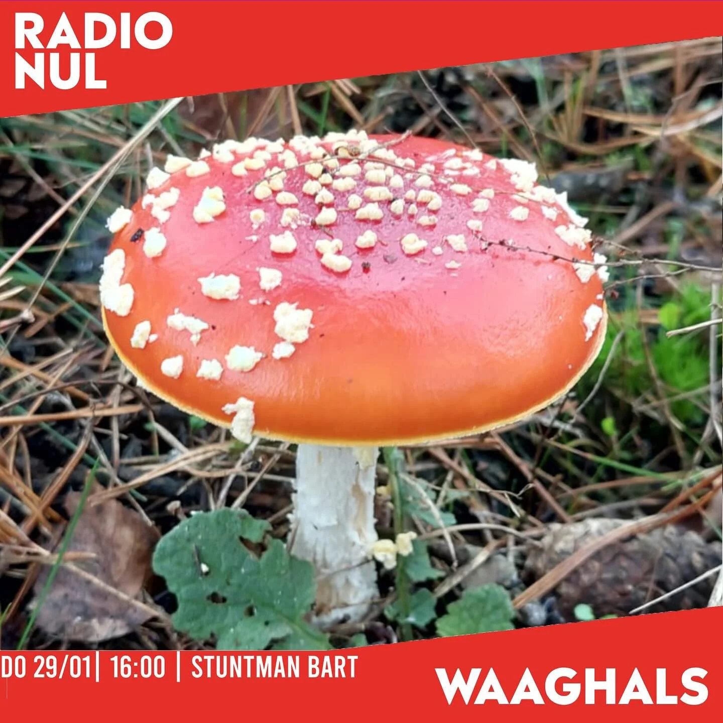 vanmiddag met Stuntman Bart, @tygo2208 &amp; @johnnysmoke68 /// RADIONUL.nl
@waaghalsnl