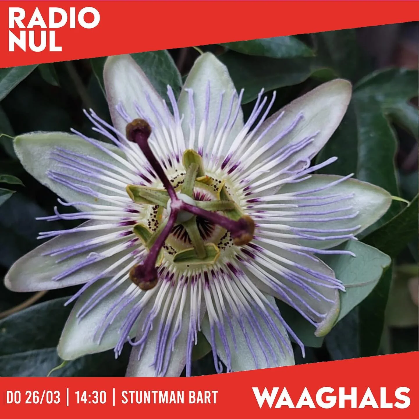 @waaghalsnl met Stuntman Bart, @sjorsroomijs @ @erik.nijsten /// live via RADIONUL.nl