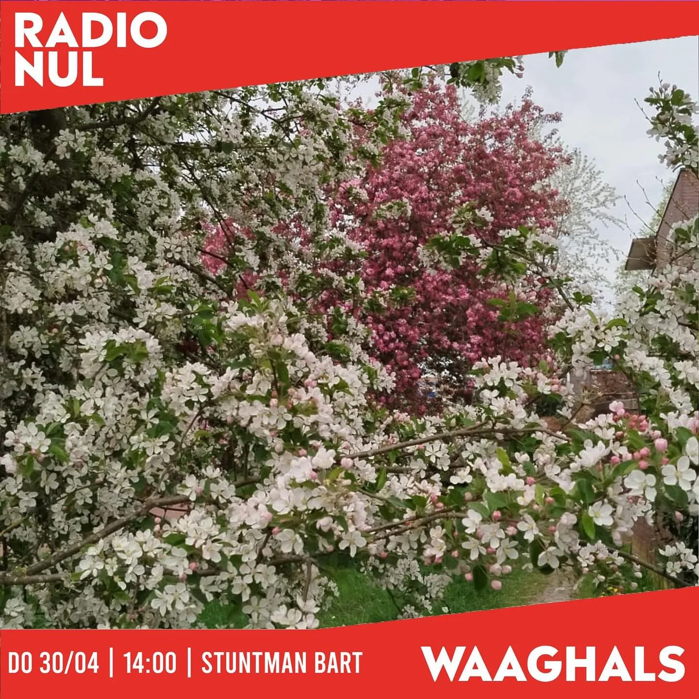 14:00 | Stuntman Bart
17:00 | Waaghals DJ Team live recording @deonderbroek @nieuwenederlandsenaiviteit 
19:00 | left bank @multiversummuziek 

live vanuit @waaghalsnl en op RADIONUL.nl ///