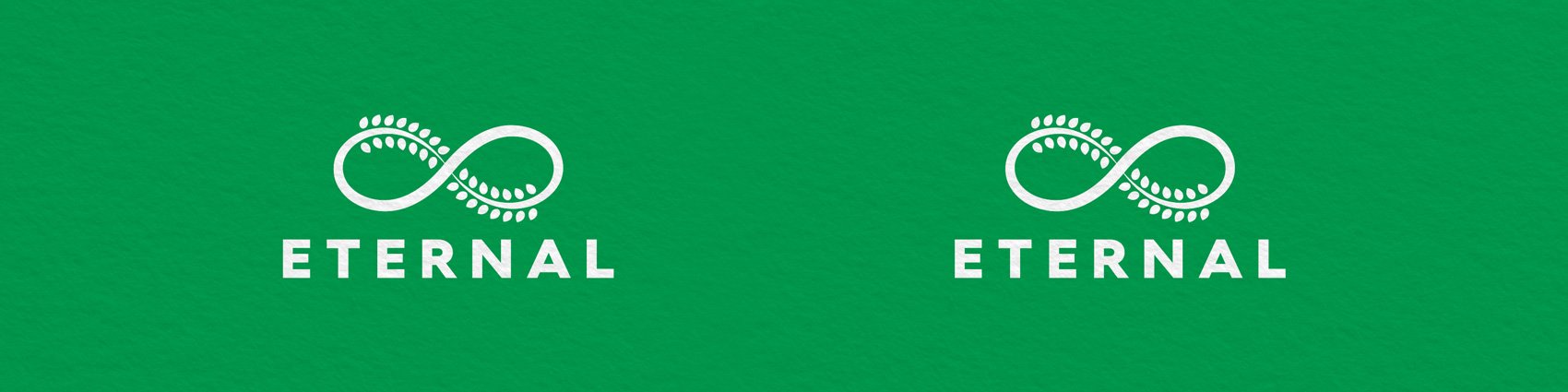 ETERNAEL-logo-reverse.jpg