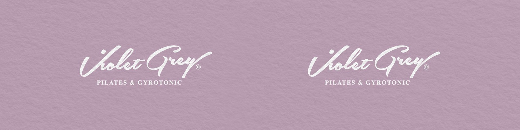 VioletGrey-logo-reverse.jpg
