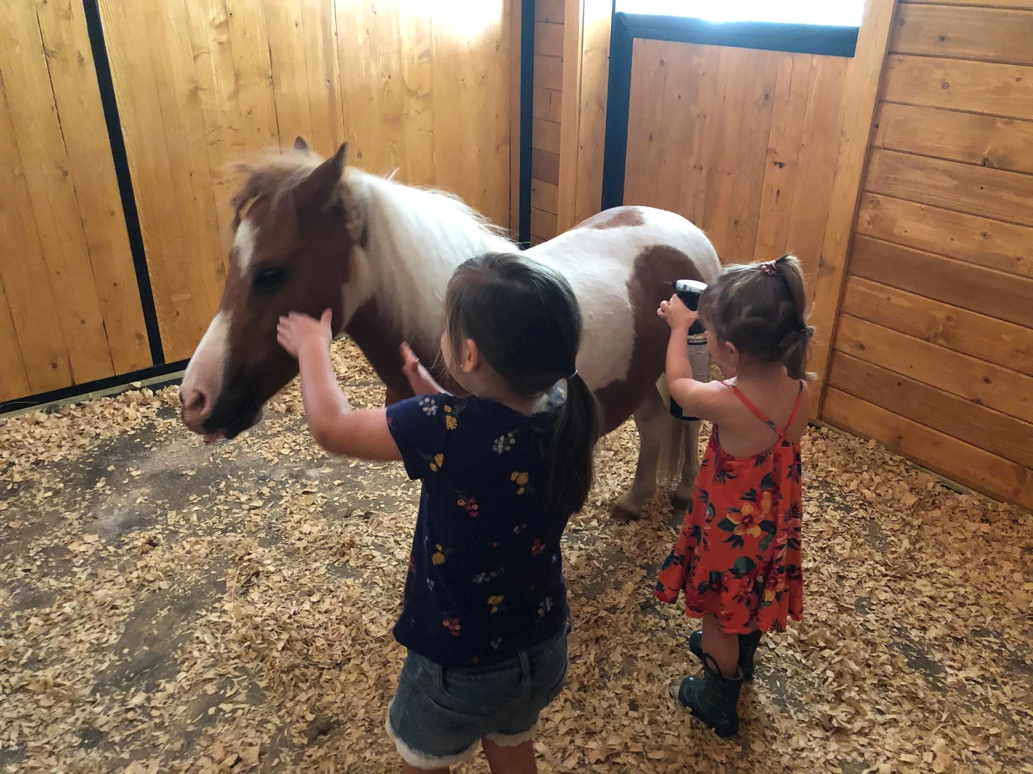Kids and minis