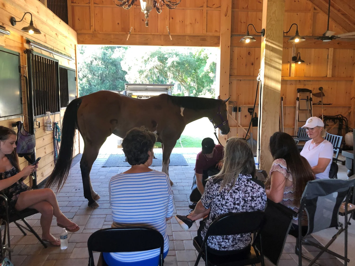 Farrier clinic