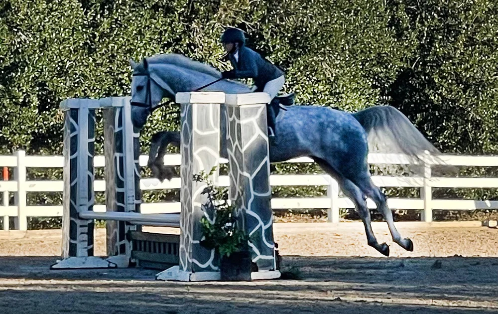 A rider and gray horse clearing a jump during the equestrian demonstrations