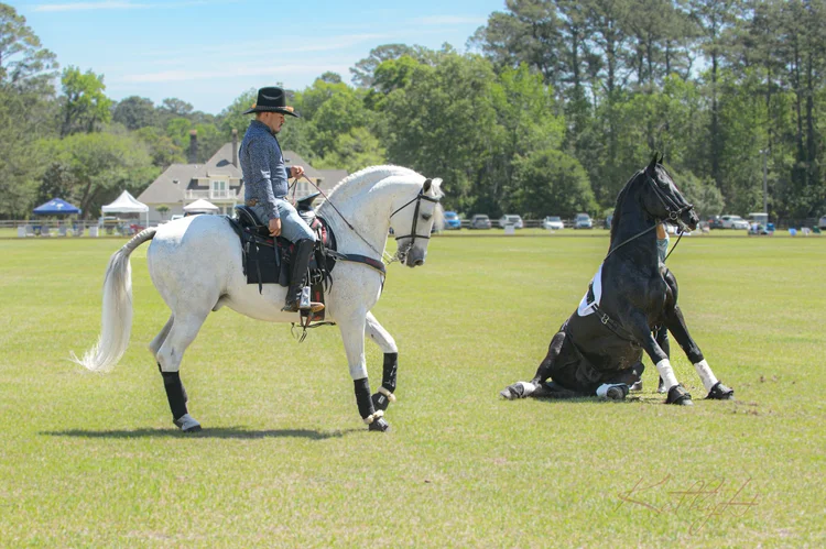 Spring 2023 Charity Polo Classic, photo 21
