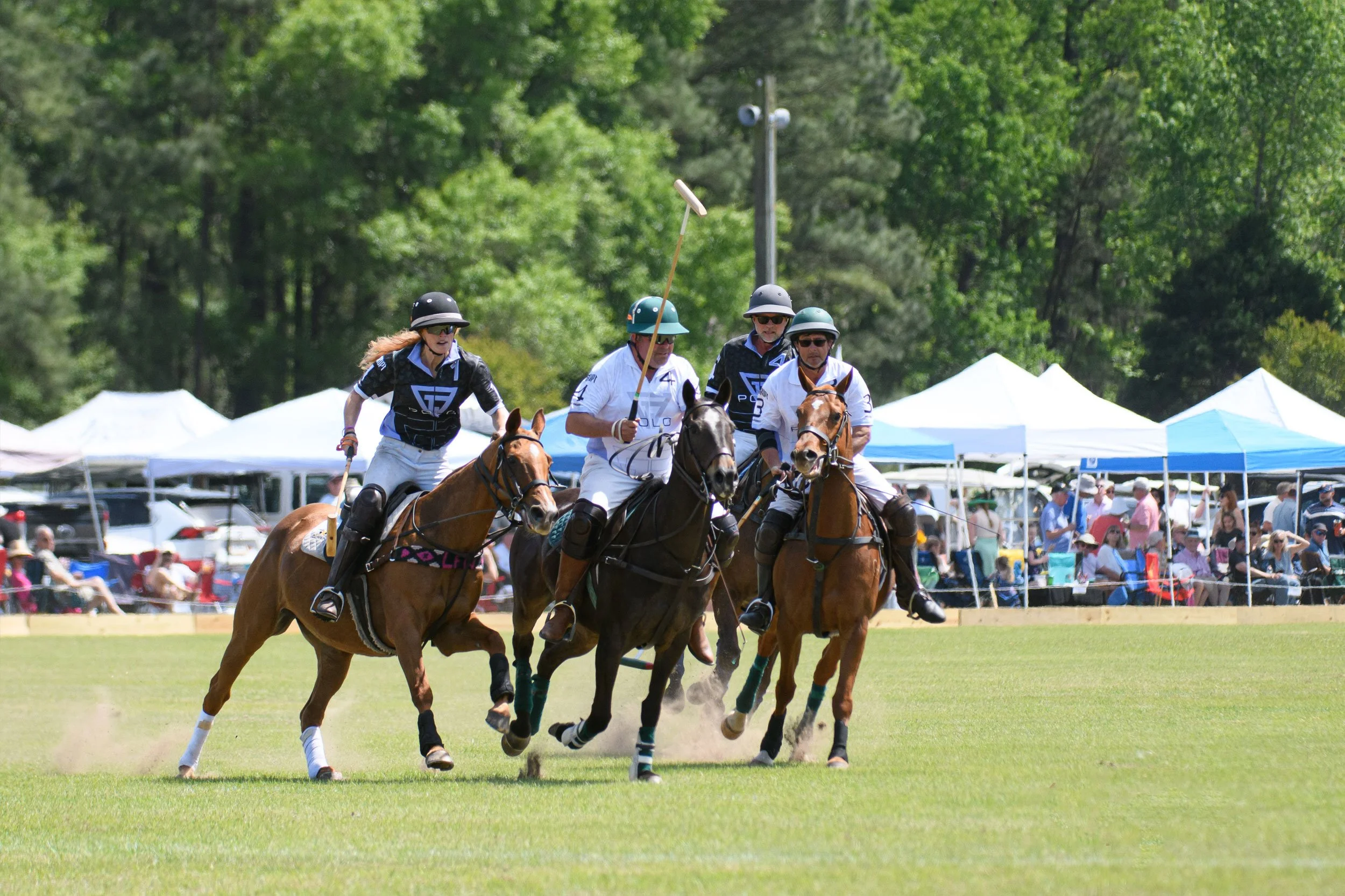 Rose Hill Equestrian Club