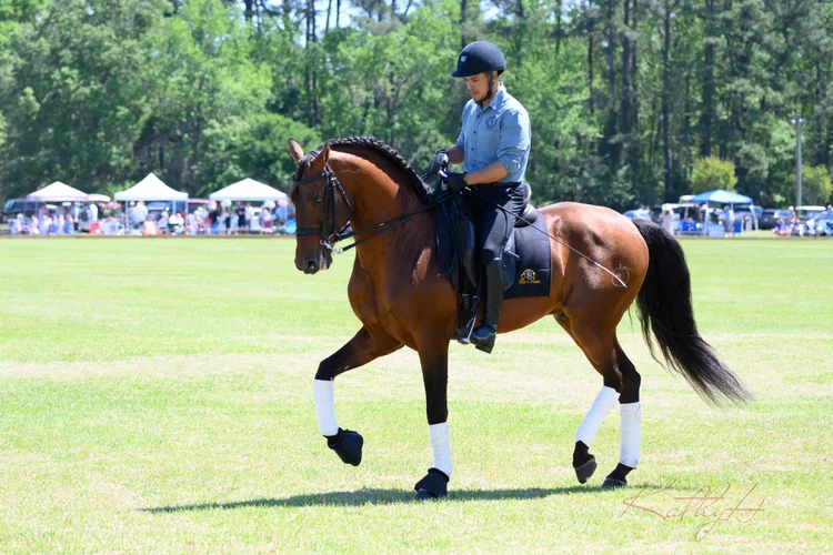 Spring 2023 Charity Polo Classic, photo 25