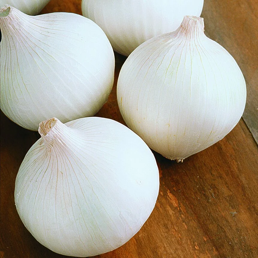 root for health - white onions.jpg