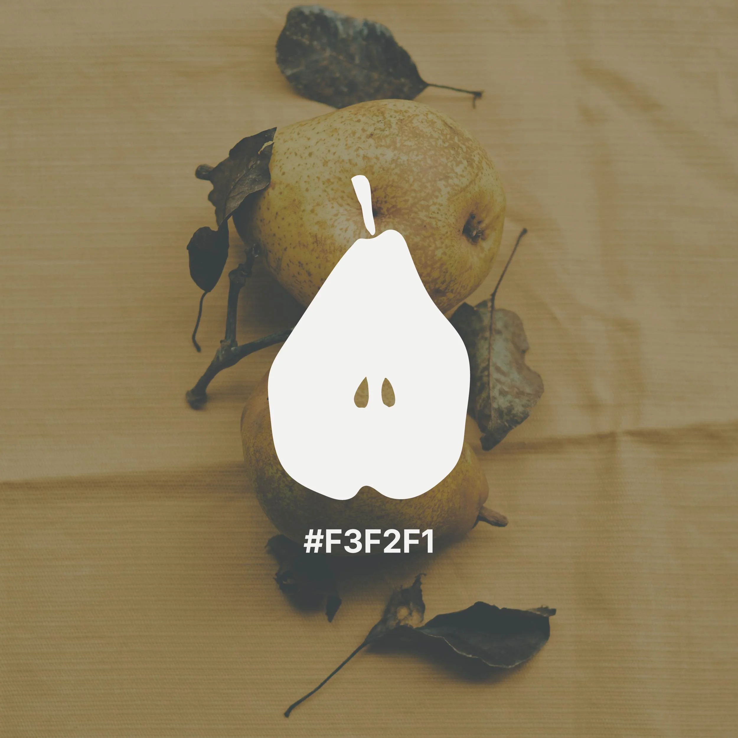 Finding hex codes to customise your brand mark