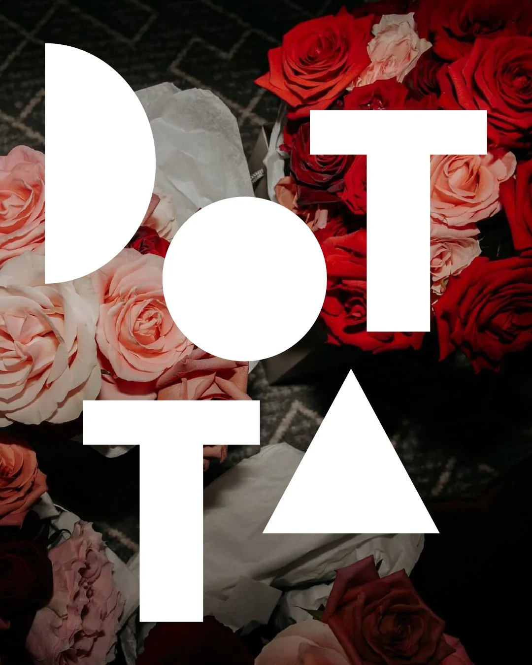 DOTTA instagram roses.jpeg