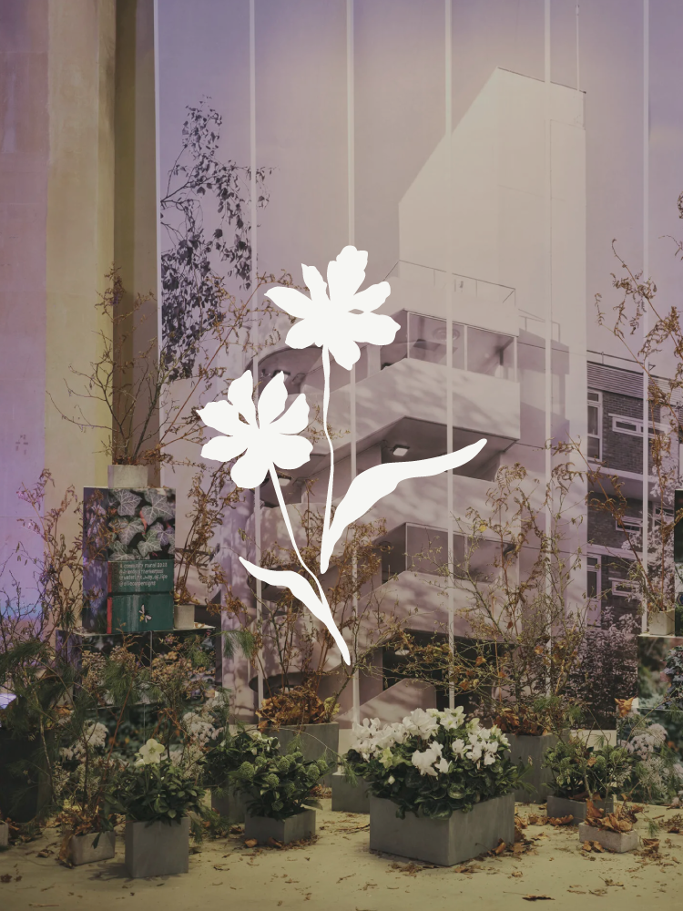 Floral Evolution