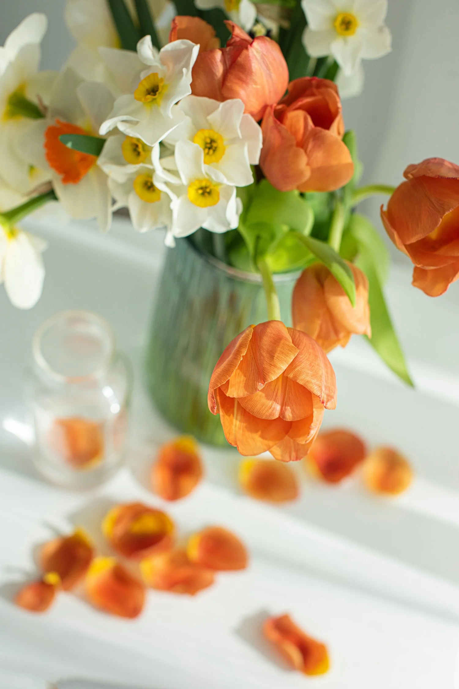 A BEGINNERS GUIDE TO DAFFODIL FLOWER ARRANGEMENTS — Clea Broad