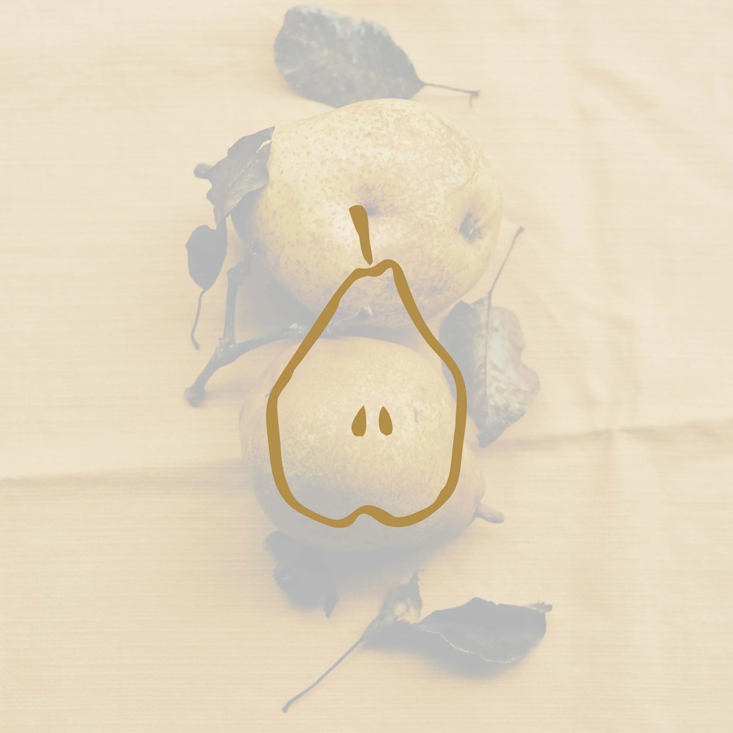 A yellow pear with brown speckles, accompanied by two dried leaves with dark veins, two black berries and a brown line drawing overlay on a light background.