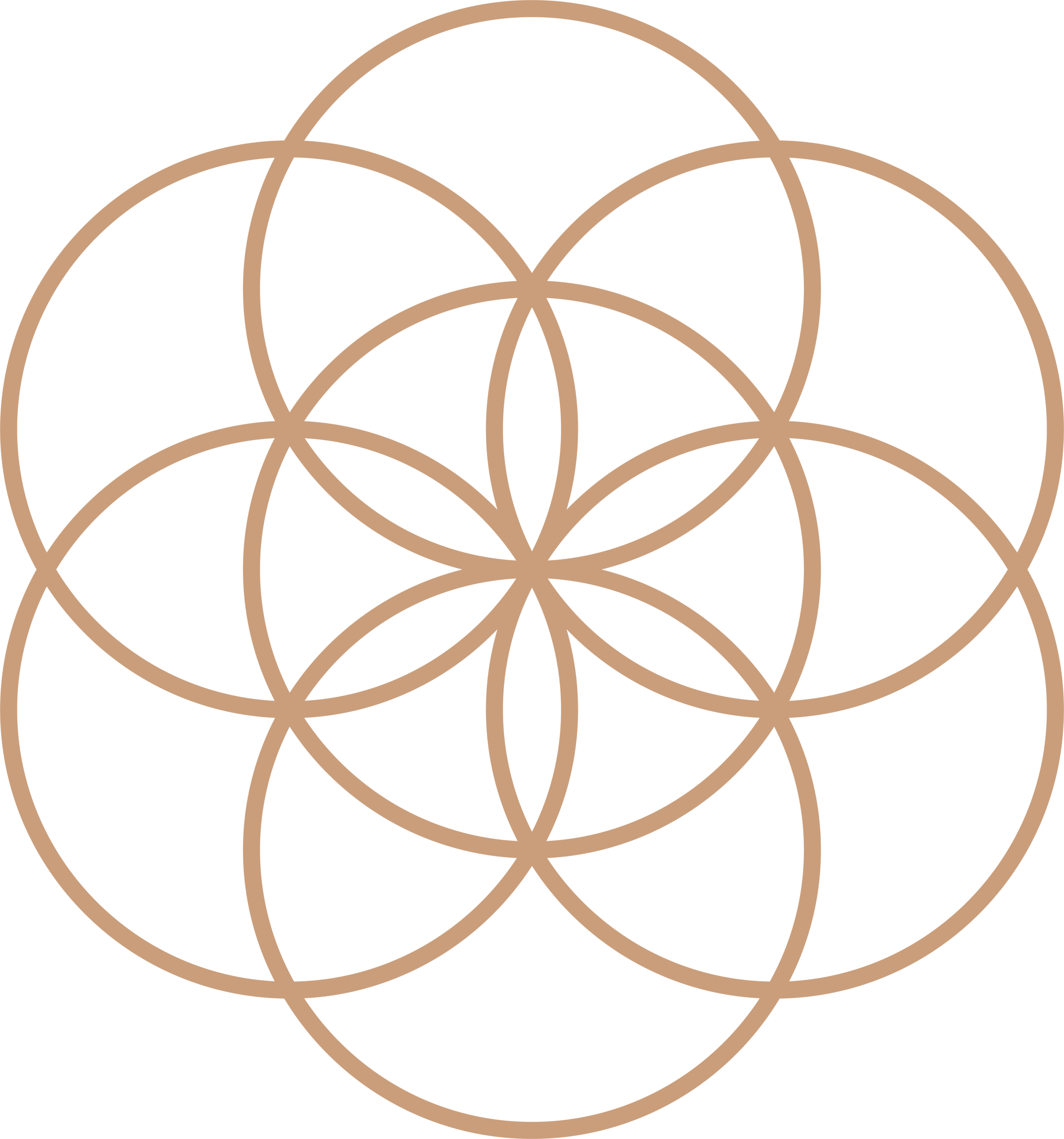 Geometric pattern of overlapping circles forming a flower-like design on black background.