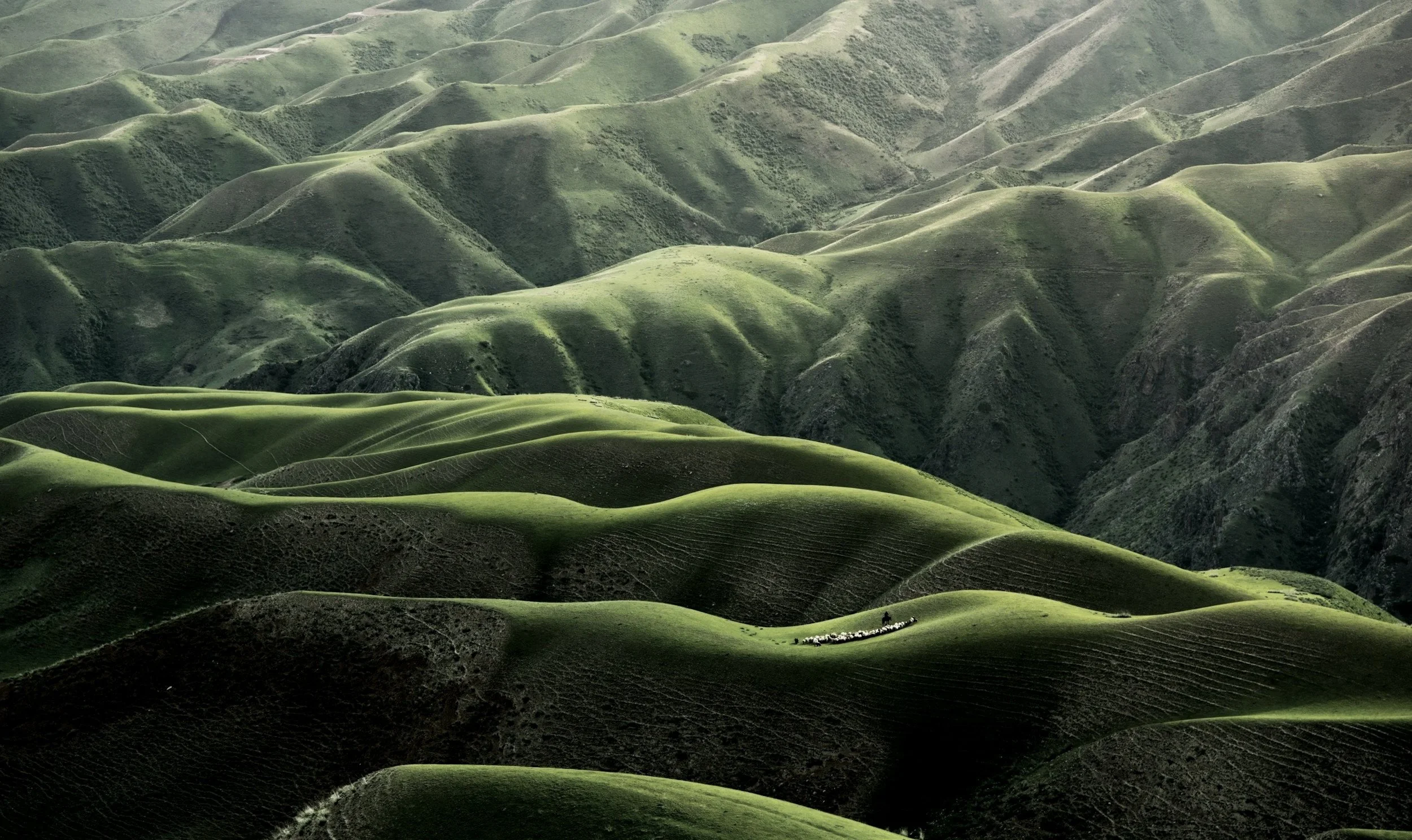 Rolling green hills with lush grass, creating a pattern of shadows and light across the landscape.