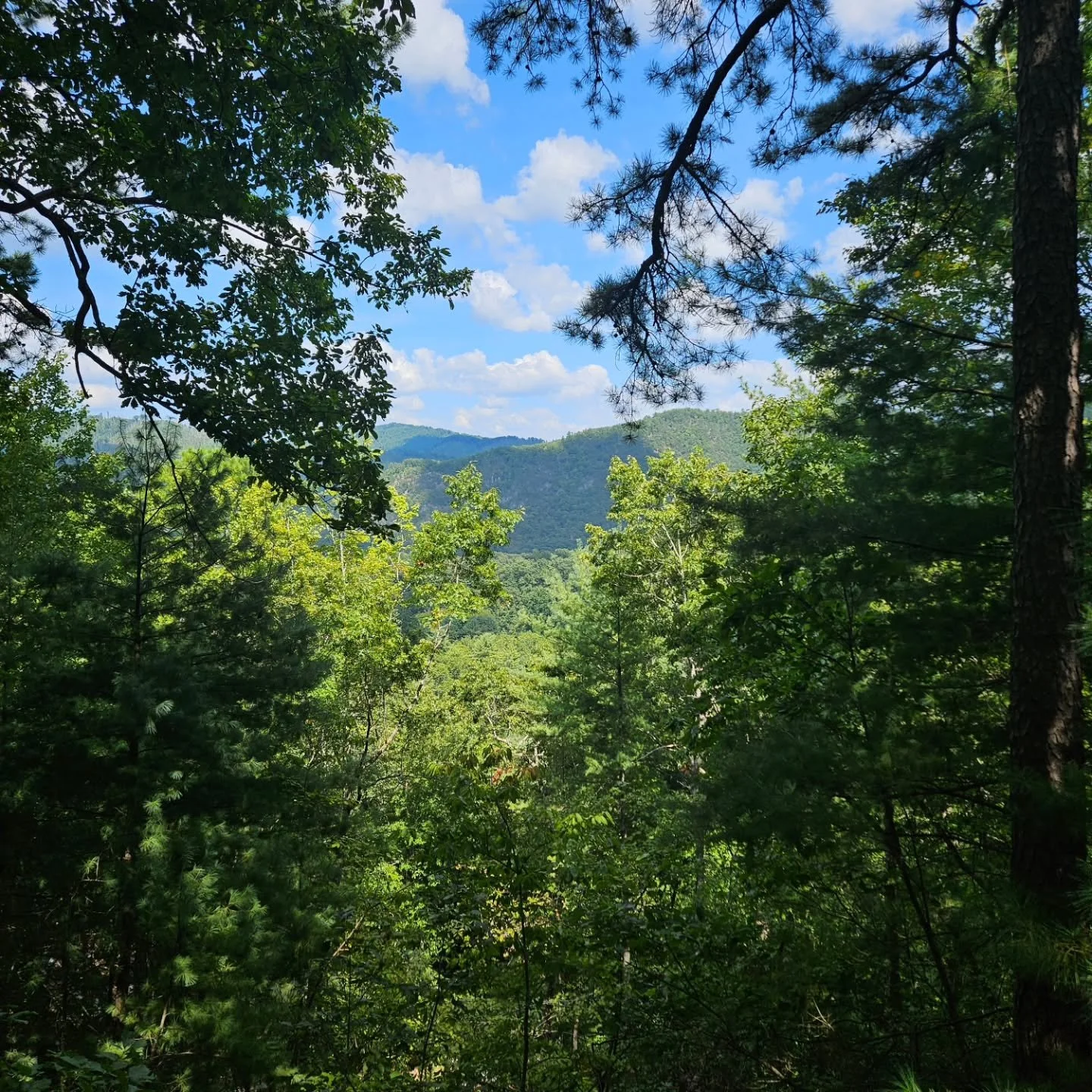 Wonderful week in Hot Springs, NC and Warsaw, KY. Not pictured: the finally finished Rough draft of my autistic burnout paper! and @nmb2115 defending his thesis!

No colors were edited in these images; life was just that bright.

[Image 1: The view o