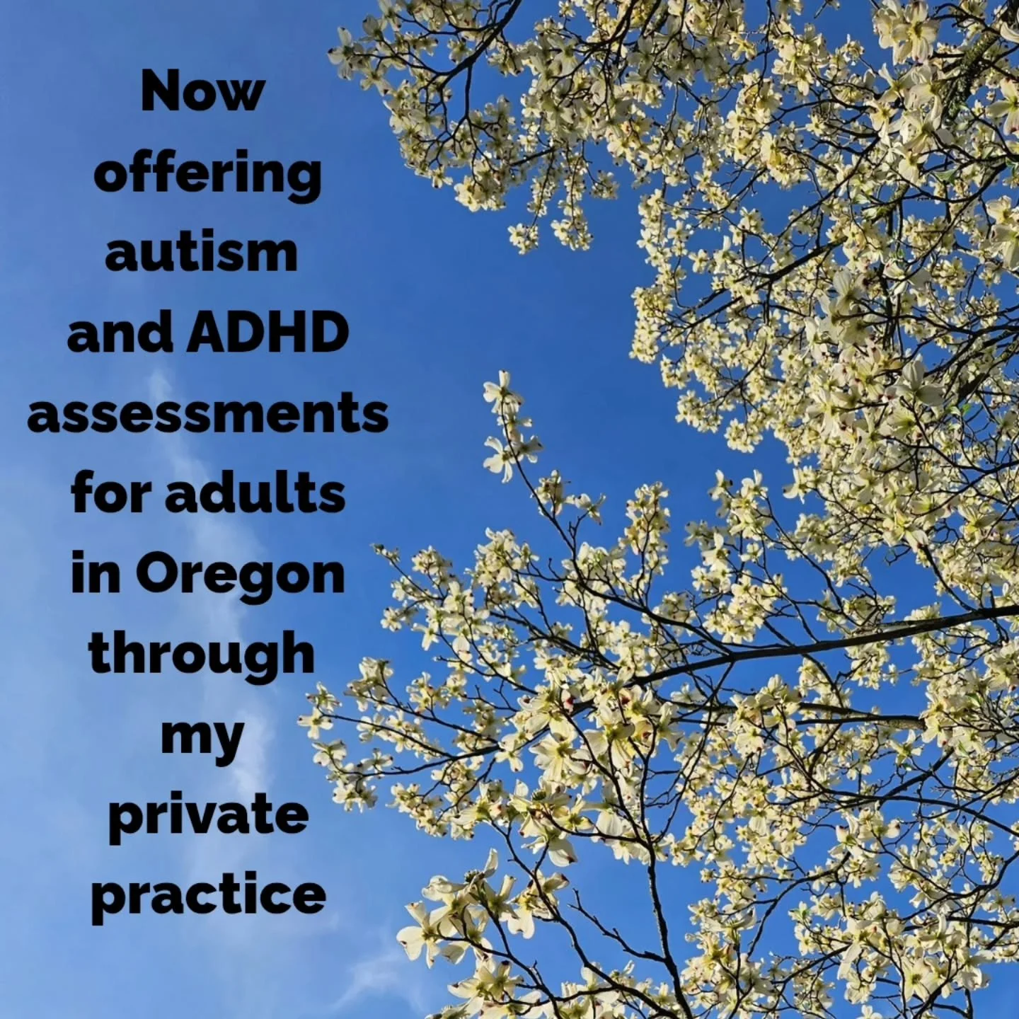 I am now offering autism and ADHD diagnostic assessments for adults 18 and over who live in Oregon, through my private practice.

I have been providing neurodivergent-affirming assessments for several years, but this shift to my own practice allows m