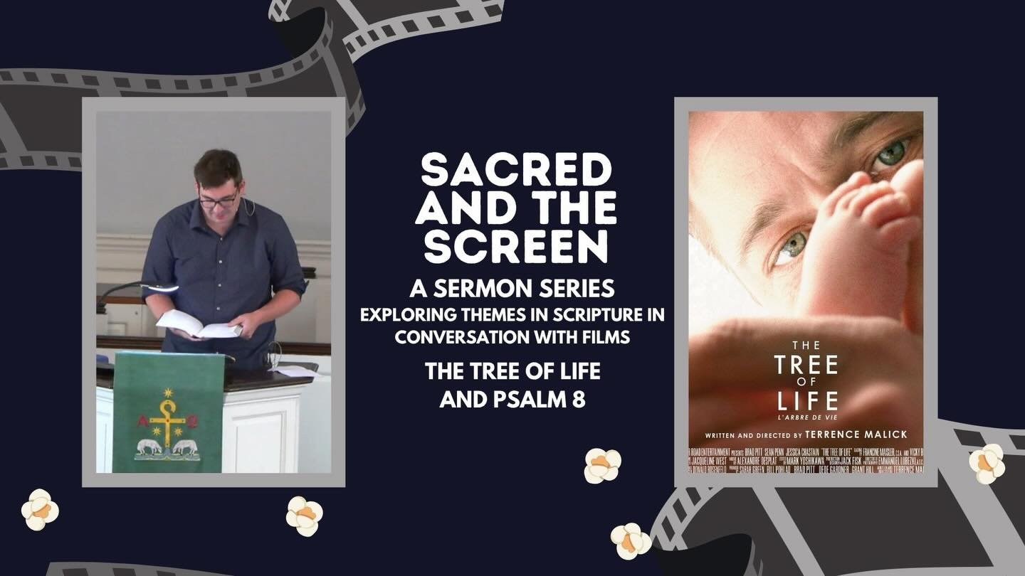 &ldquo;Who are we that you think of us?&rdquo;

On Sunday we&rsquo;re explored Psalm 8 and The Tree of Life, reflecting on wonder, suffering, grace, and resurrection. The God who made the stars knows us, loves us, and walks with us through every joy 