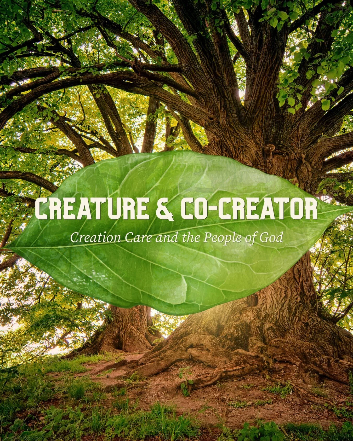 New sermon series starts Sunday!
