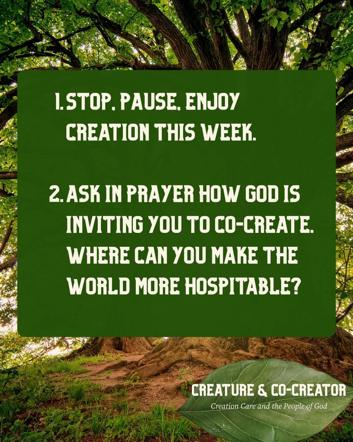 On Sunday, pastor @evanduncan challenged us to respond to God&rsquo;s creativity and invitation in two ways: 1. Stop and be in nature. 2. Prayerfully consider how you might co-create spaces of hospitality in the world. 

If you&rsquo;ve done the firs