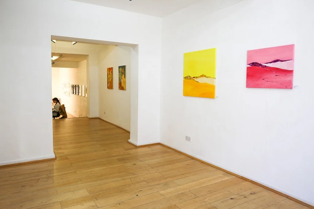 gallery space .JPG
