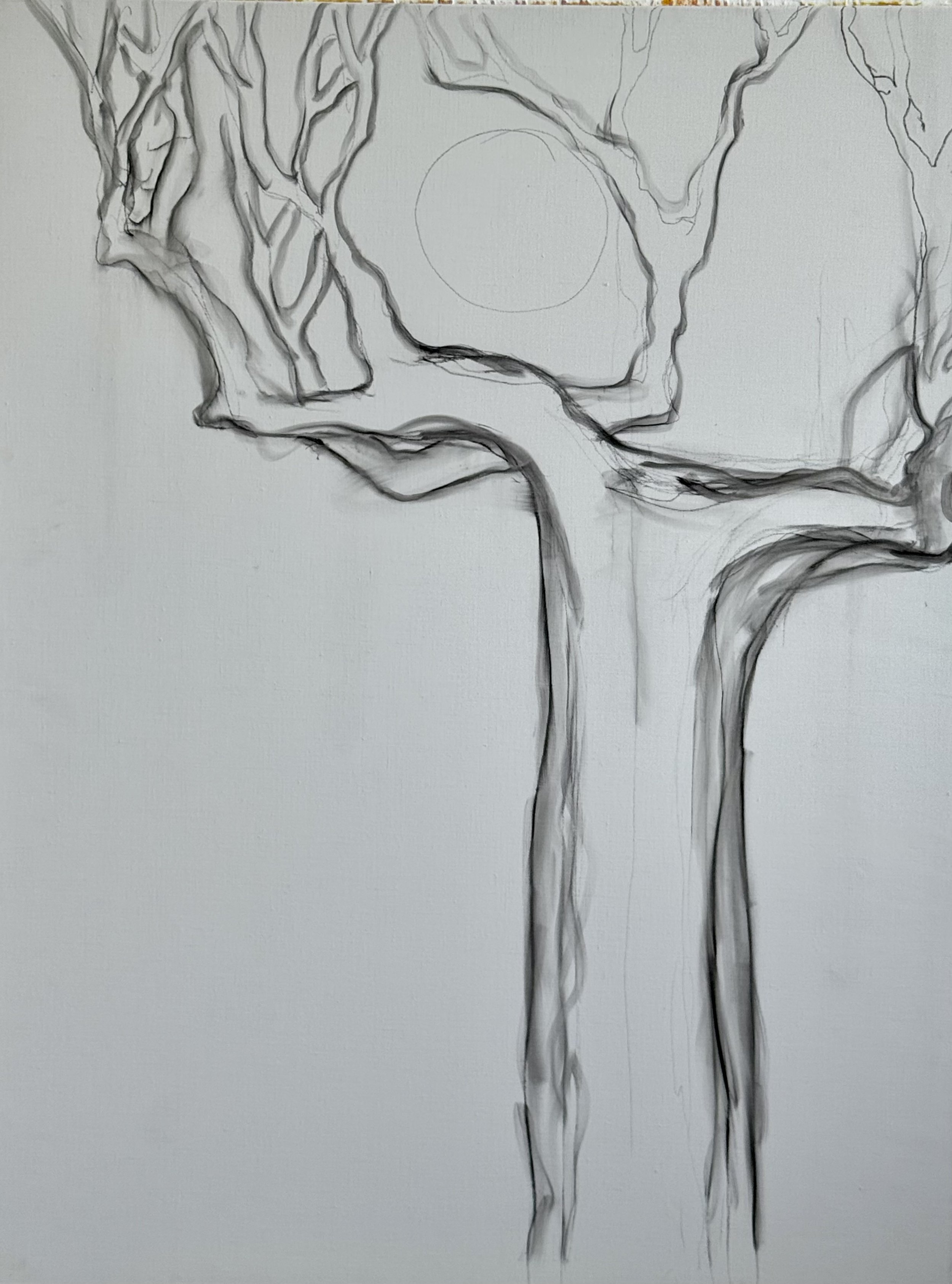 preliminary sketch