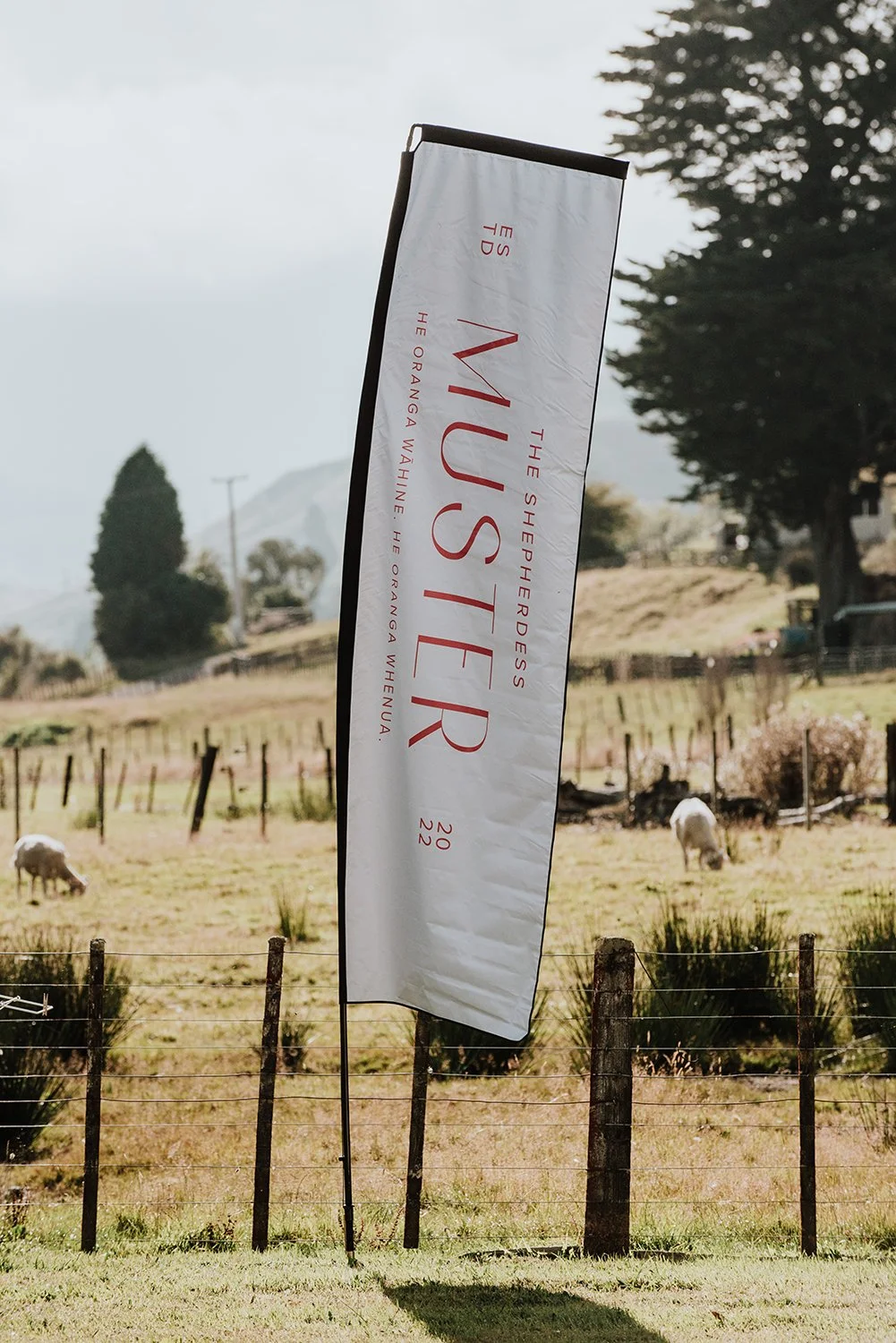 Muster2024-5sml.jpg