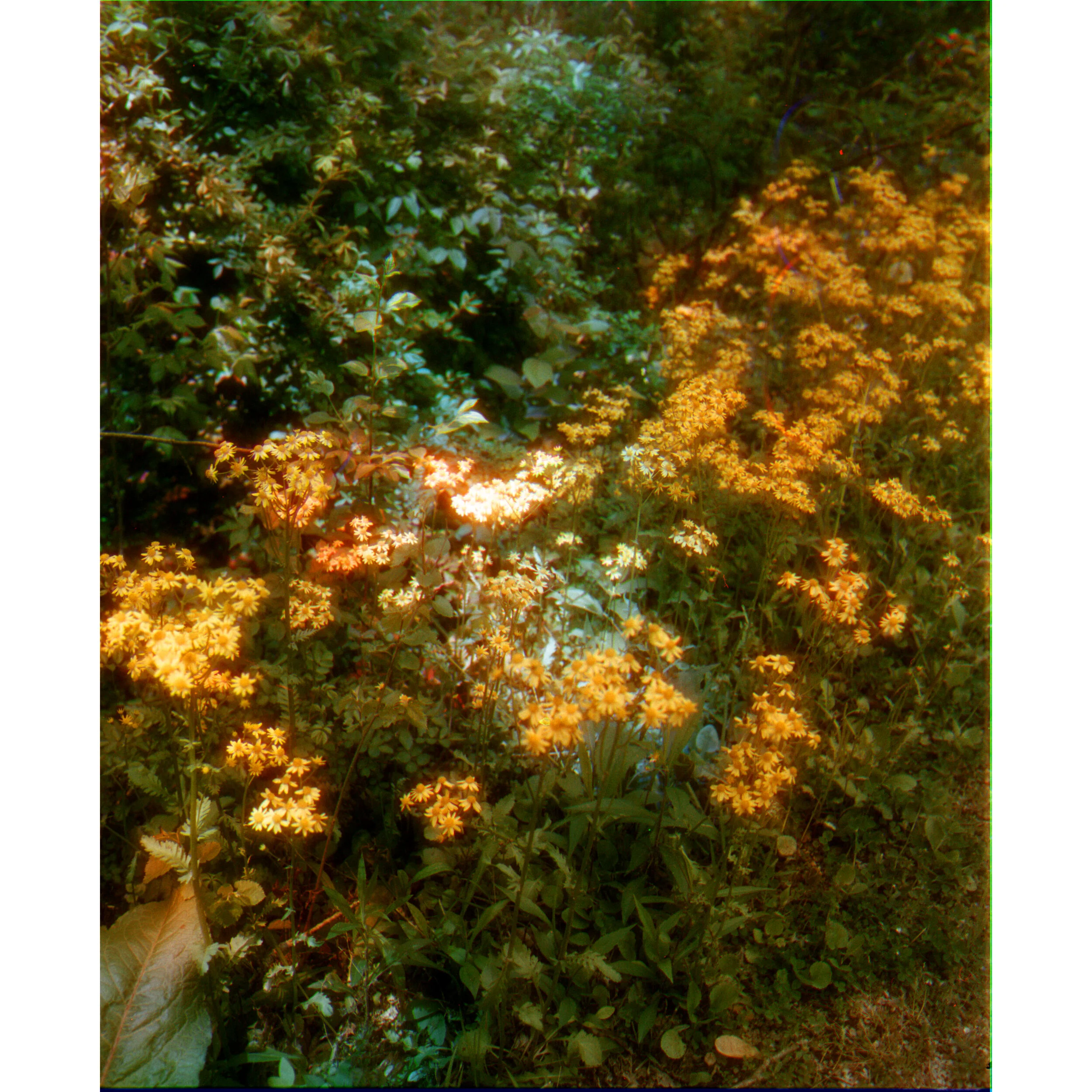 rgb43 copysquare.jpg