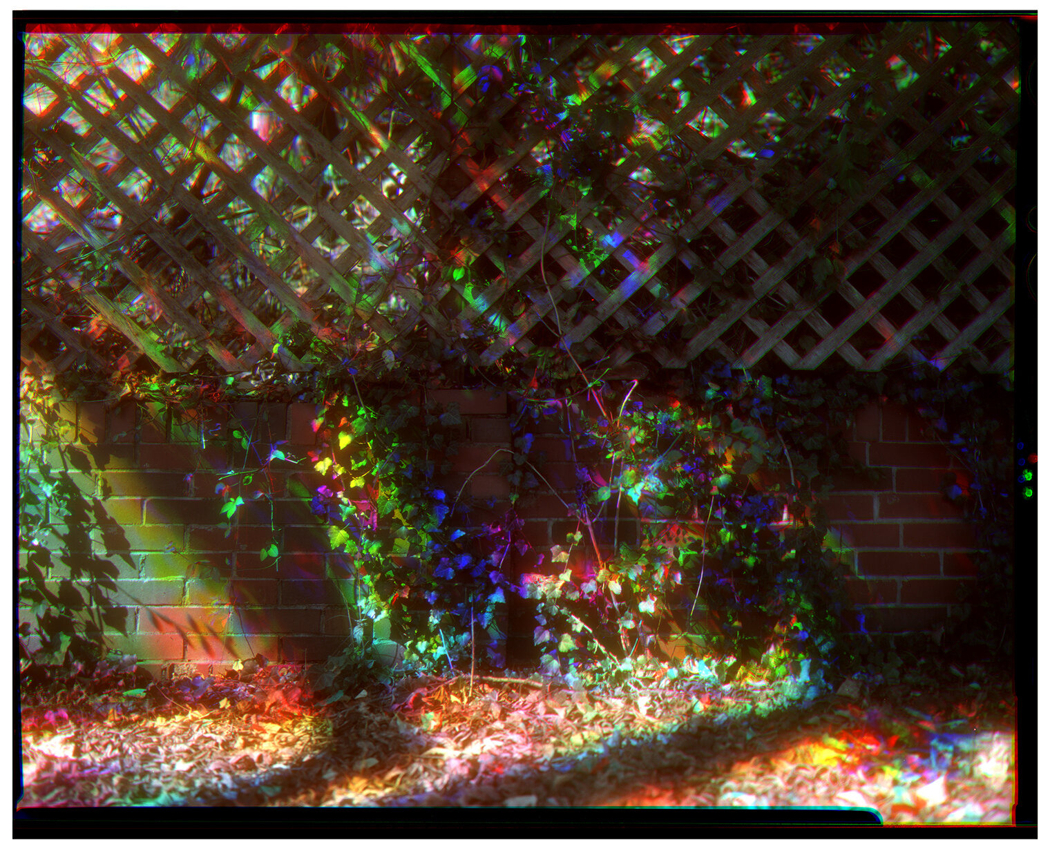 backyard_rgb_small.jpg