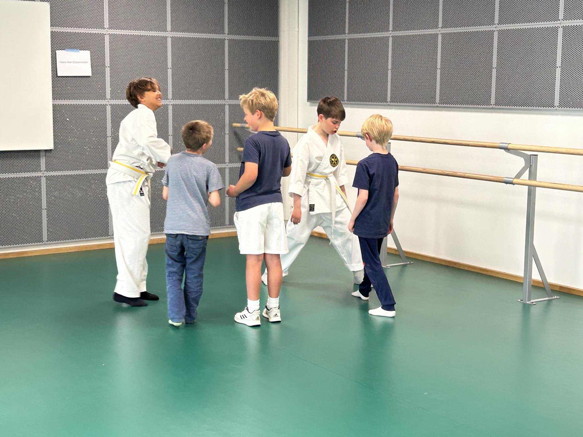 Karate treningsglede når William og Eliot fra Sakura Karateklubb viser frem sin karate.