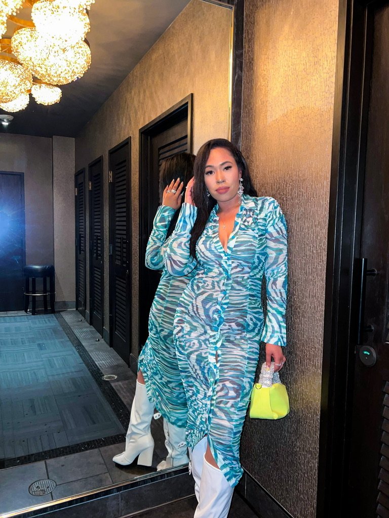 Mesh Printed Long Sleeve Midi Dress