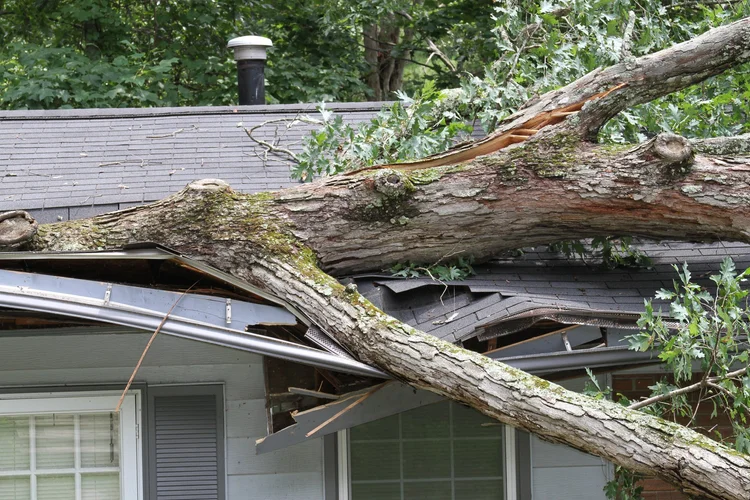 Storm Damage services