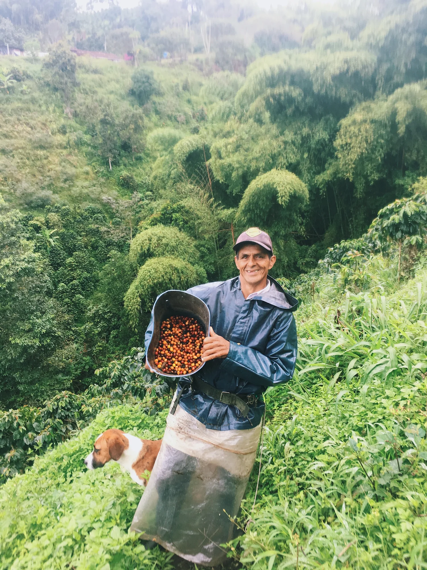 Cafe Del Cielo Sustainable Coffee Farm Direct Trade Coffee Kiel Germany