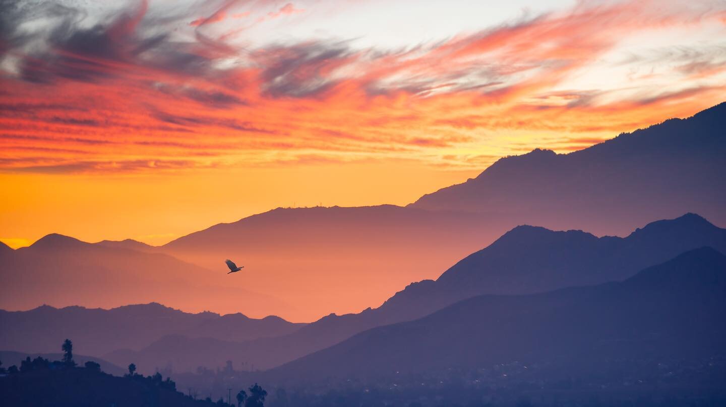 Black Bird

#crow #blackbird #raven #sunset #sunrise_and_sunsets #sunrise #mountains #sanjacinto #clouds #orange #landscapephotography #landscape #nature #naturephotography #naturelover #instagood #photooftheday #photography