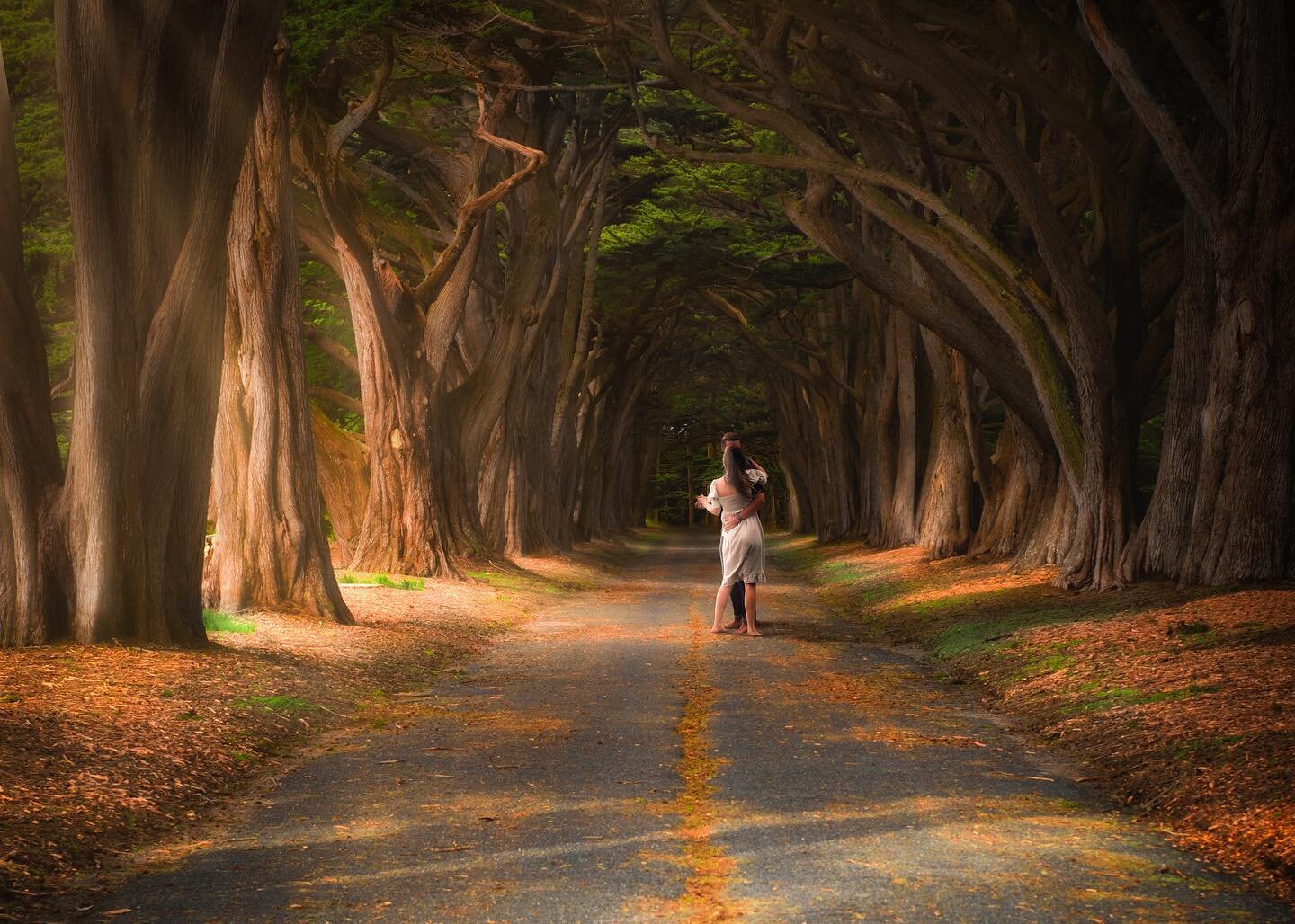 Of Love and Adventure 

#pointreyes #cypresstreetunnel #cali #california #romance #valentines #love #instagood #photooftheday #photography #landscapephotography #landscape #sanfrancisco #sanfran