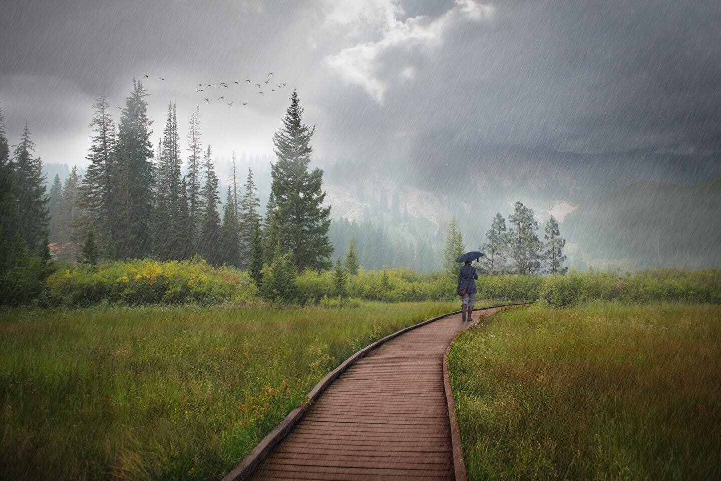 Have You Ever Seen the Rain?
#instagood #rain #mirrorlake #photoshop #landscapephotography #utah #trail