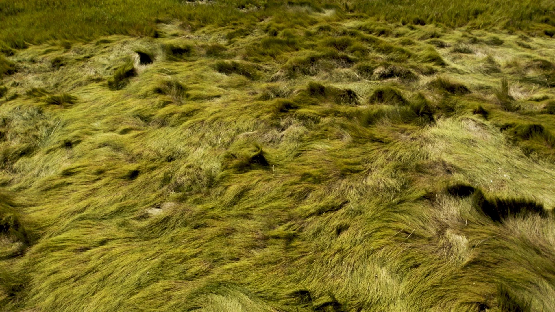 Still 2024-11-04 153012_1.10.1.jpg