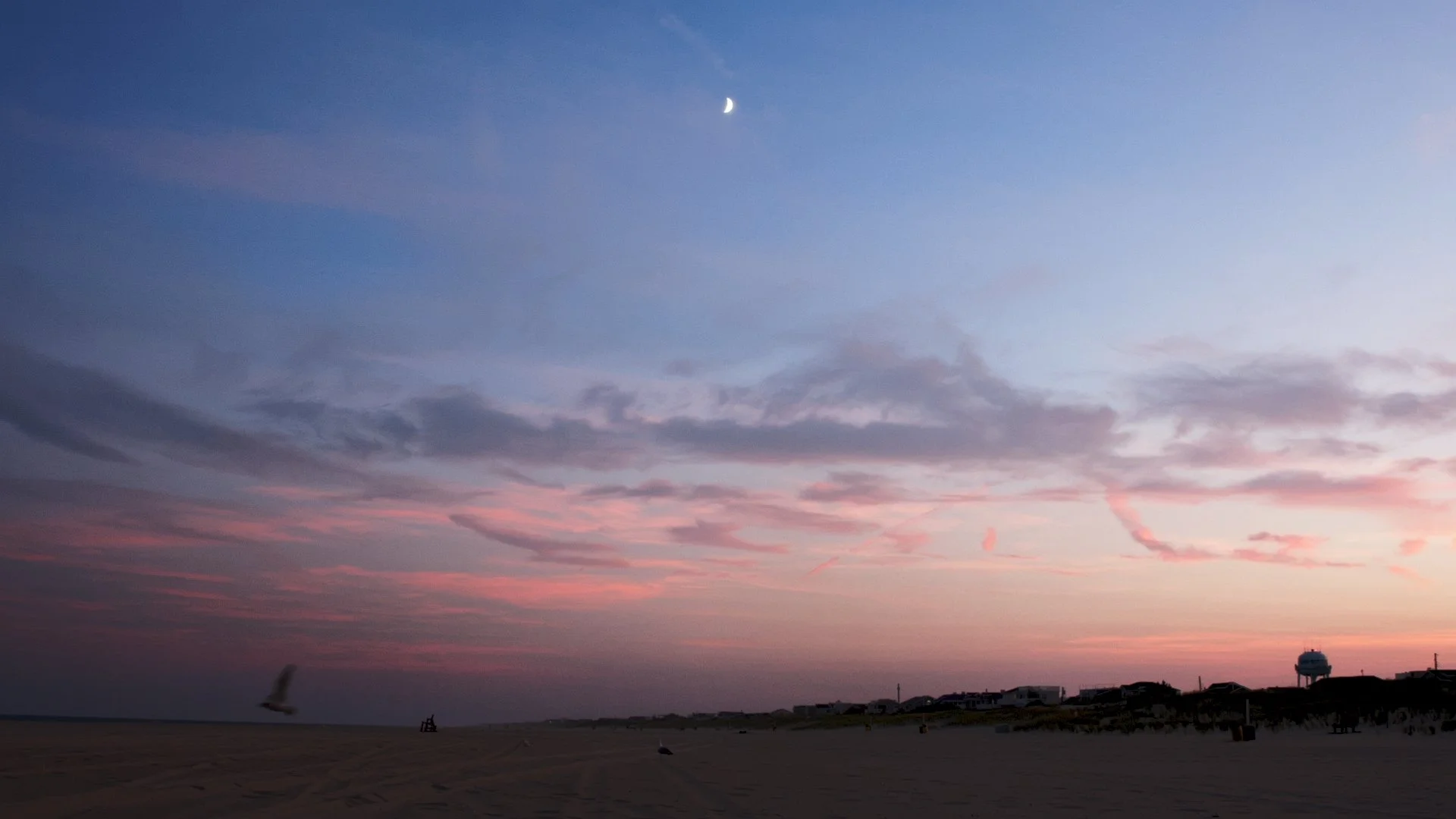 Still 2024-11-04 151646_1.2.1.jpg