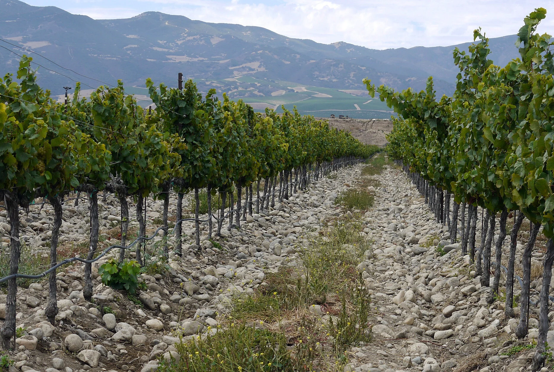 PhoneDownloadFeb2014 095.JPG