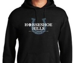 Hoodie with Large logo