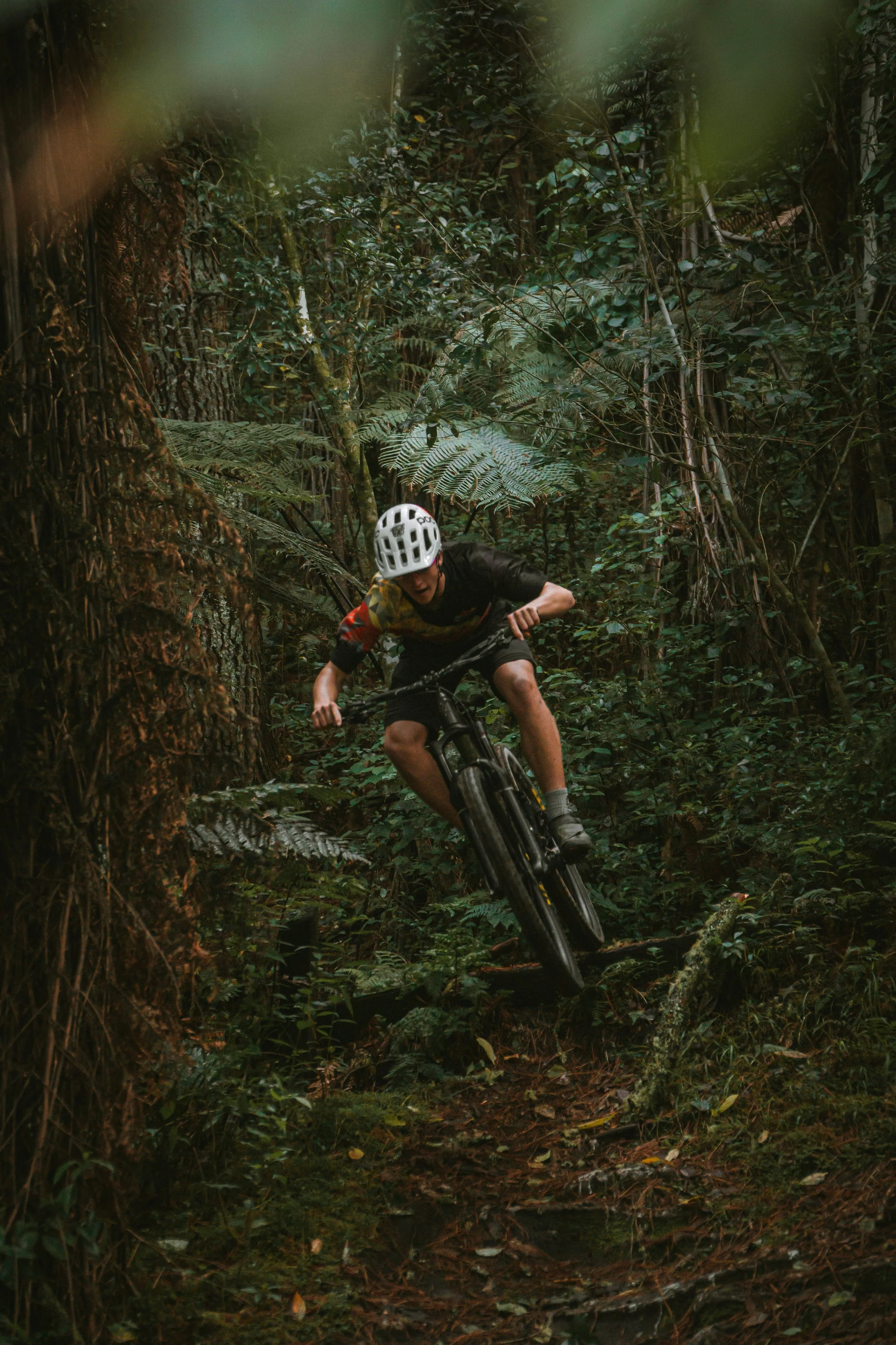 Peak to Party Patagonia Poster