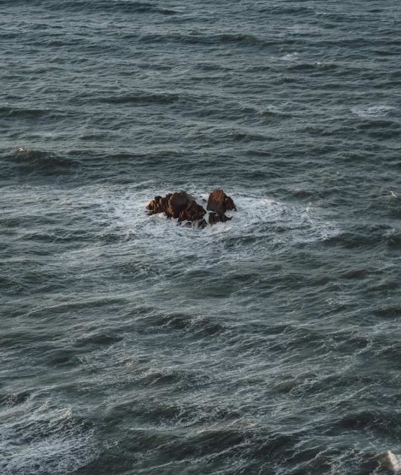 The Coastal Local Cookbook Design