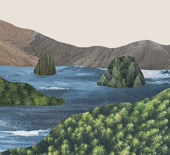 The Coastal Local Cookbook Design