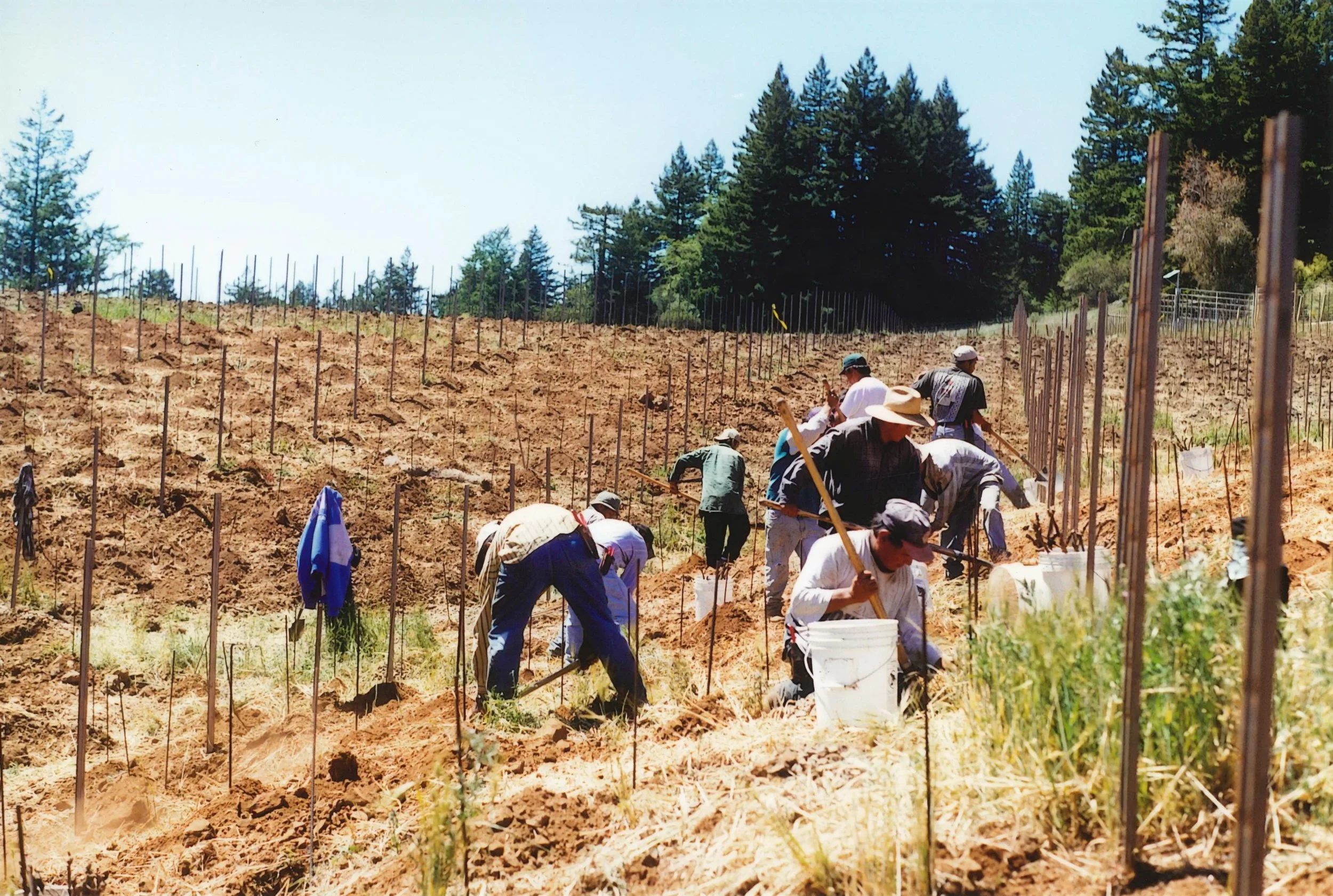 Planting Haven.jpg