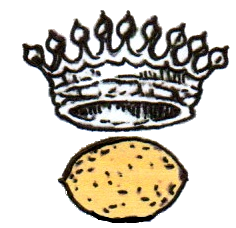 Littorai Wines logo