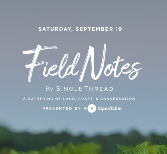 SingleThread Field Notes