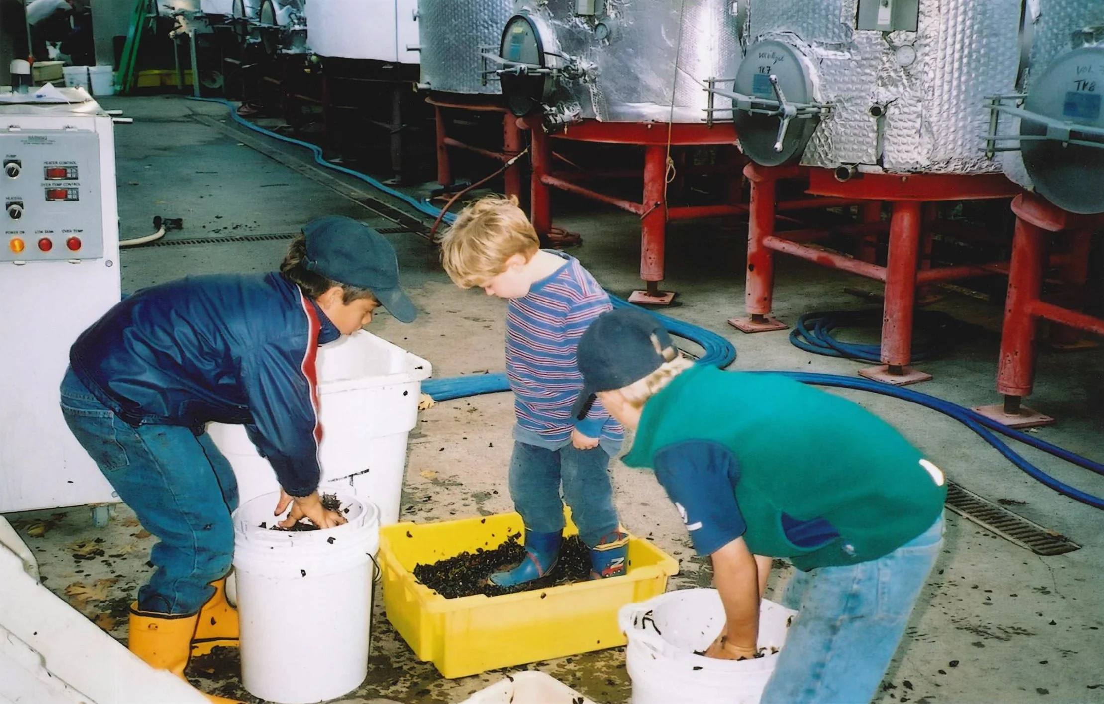 Littorai employees' children helping with harvest