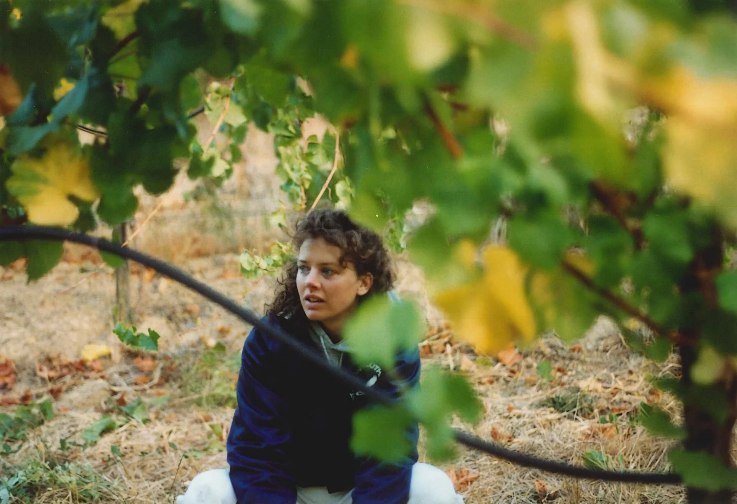 Heidi picking fruit.jpg
